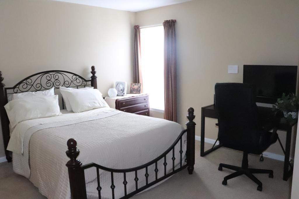 Safari Rooms Concord Ngoại thất bức ảnh
