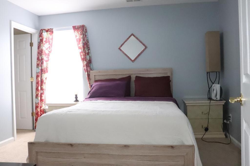 Safari Rooms Concord Ngoại thất bức ảnh